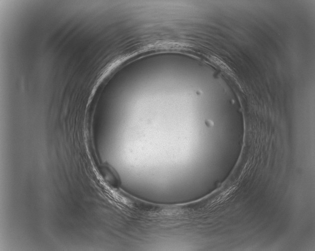 X0000051250989200507082145