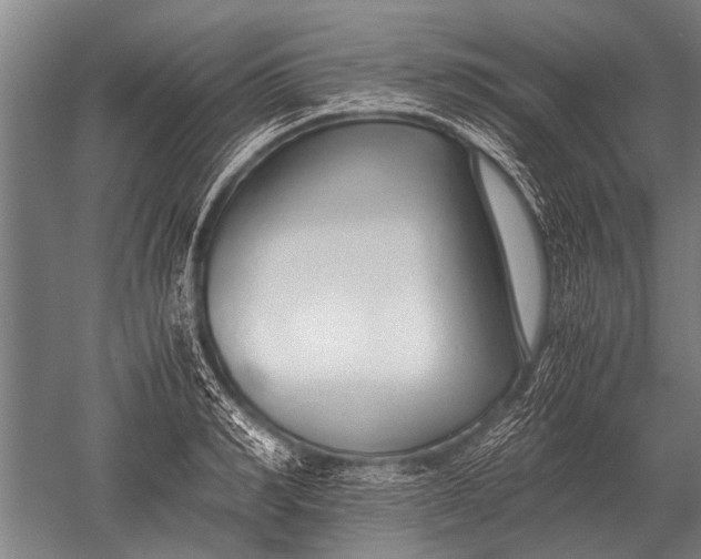 X0000051250990200507082145