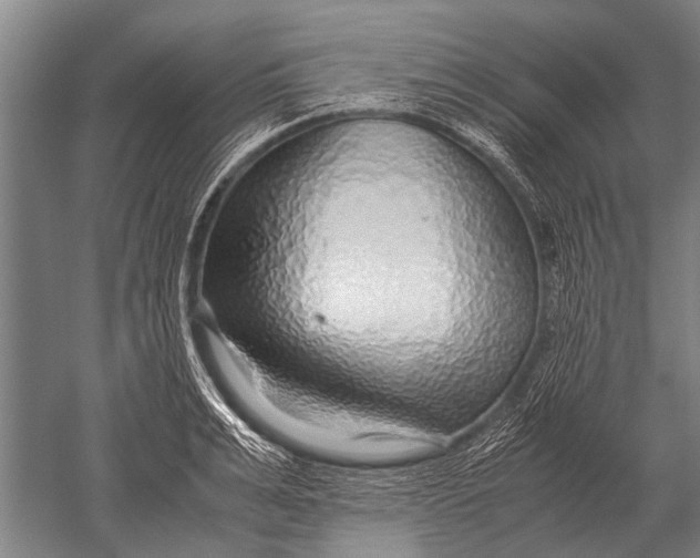 X0000051250991200507082145