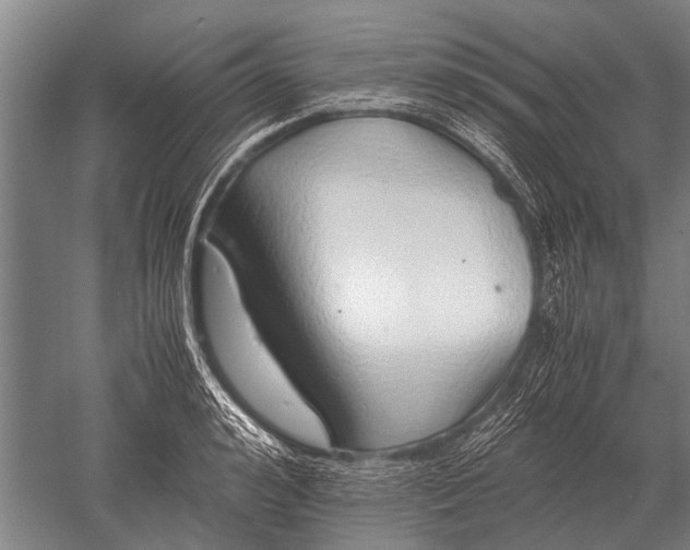 X0000051250992200507082145