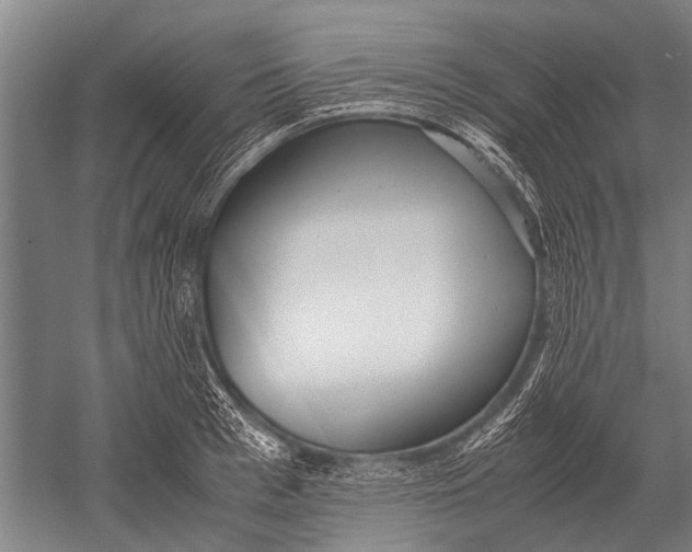 X0000051250993200507082145