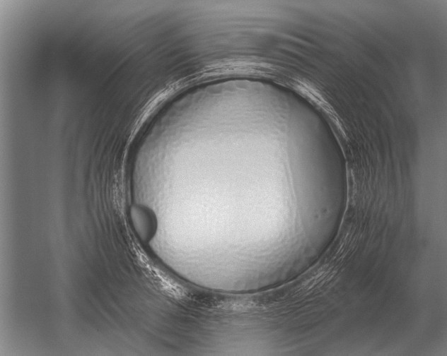 X0000051250994200507082145