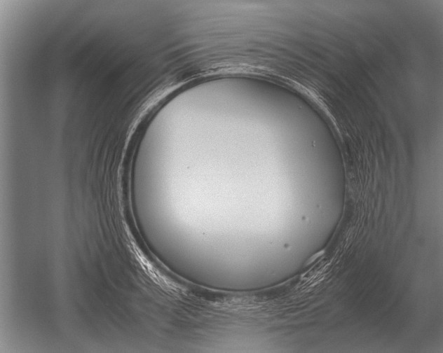 X0000051250995200507082145