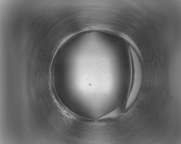 X0000051250996200507082145