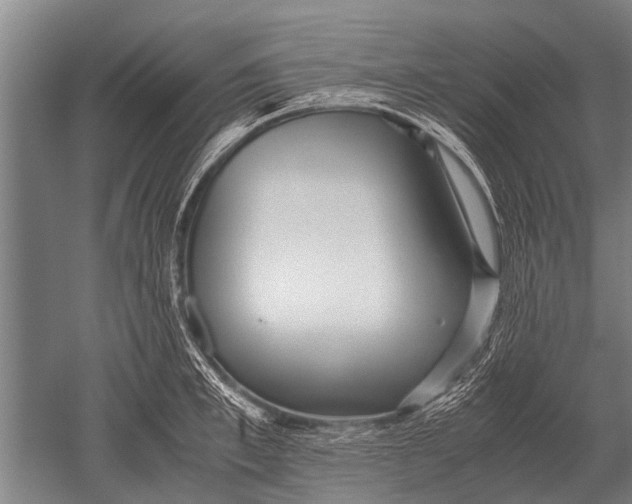 X0000051250997200507082145