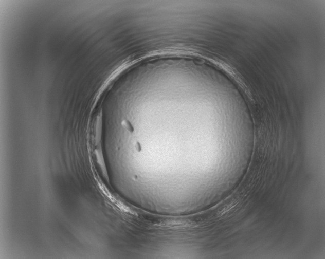 X0000051250998200507082145