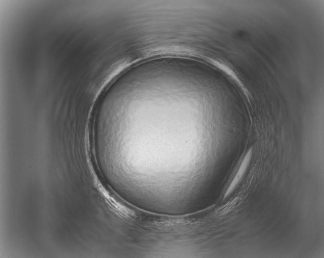 X0000051250999200507082145