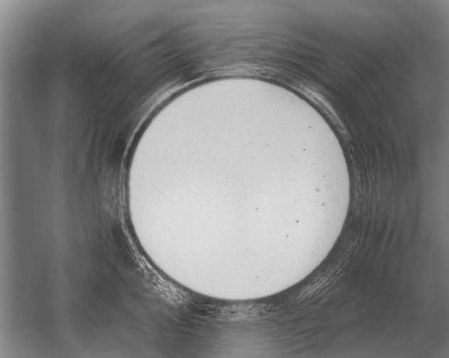 X0000051251000200507082145