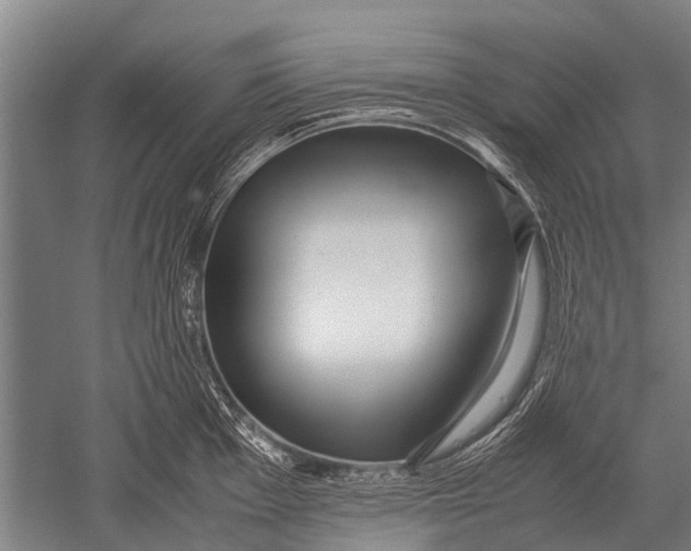 X0000051251001200507082145