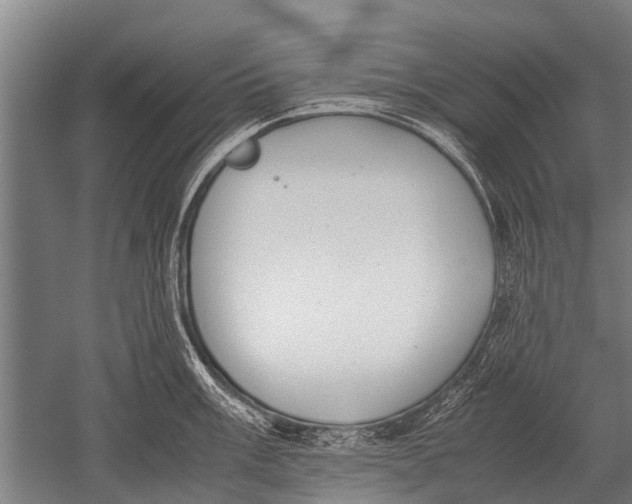 X0000051251003200507082145