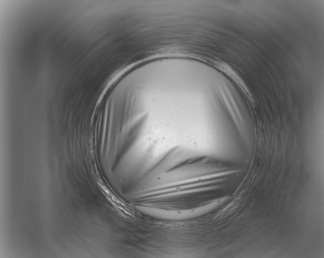 X0000051251004200507082145