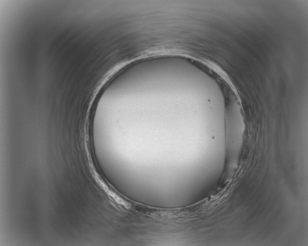 X0000051251005200507082145