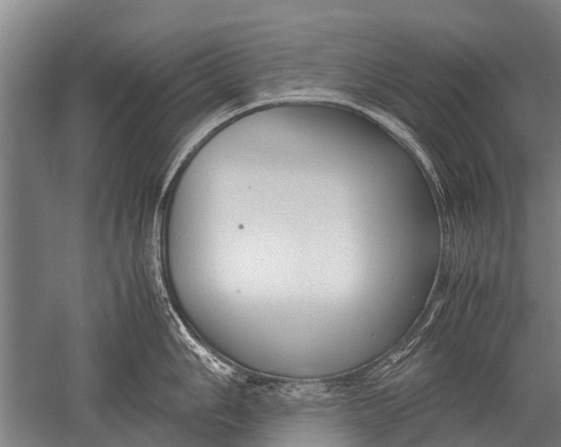 X0000051251006200507082145