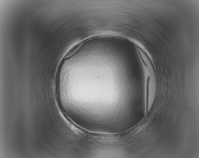 X0000051251007200507082145