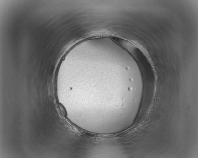 X0000051251008200507082145