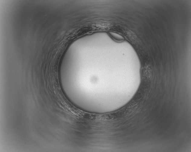 X0000051251009200507082144