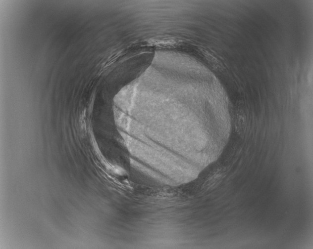 X0000051251010200507082144