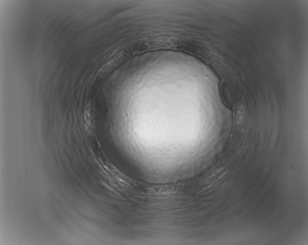 X0000051251011200507082144