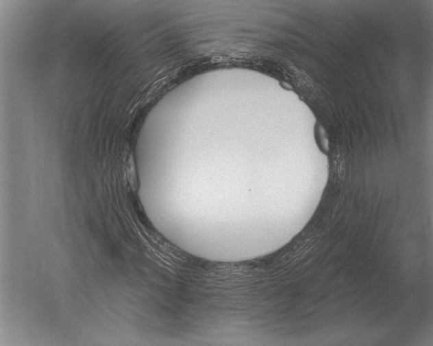 X0000051251012200507082144