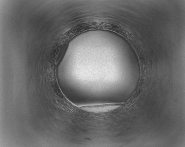 X0000051251013200507082144