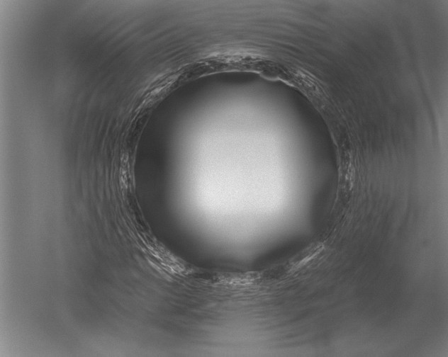 X0000051251014200507082144