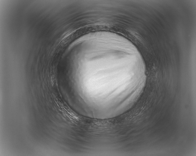 X0000051251015200507082144