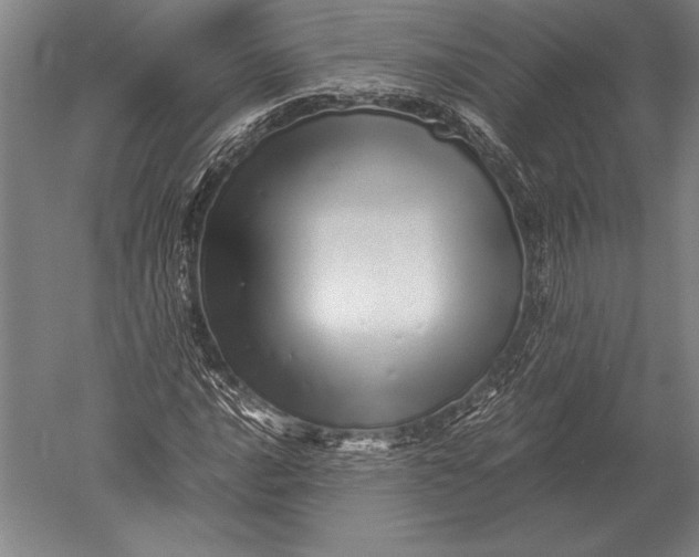 X0000051251016200507082144