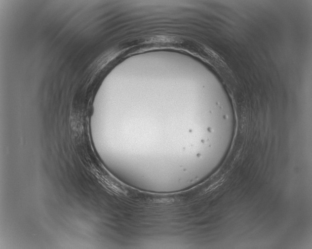 X0000051251017200507082144