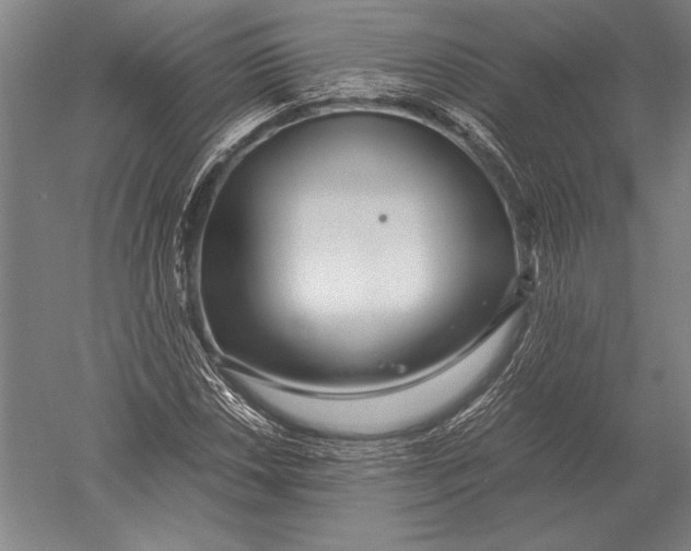 X0000051251018200507082144