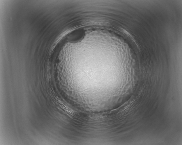 X0000051251019200507082144