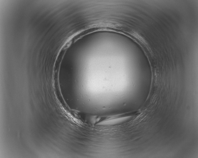 X0000051251020200507082145