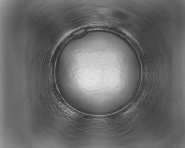 X0000051251021200507082145