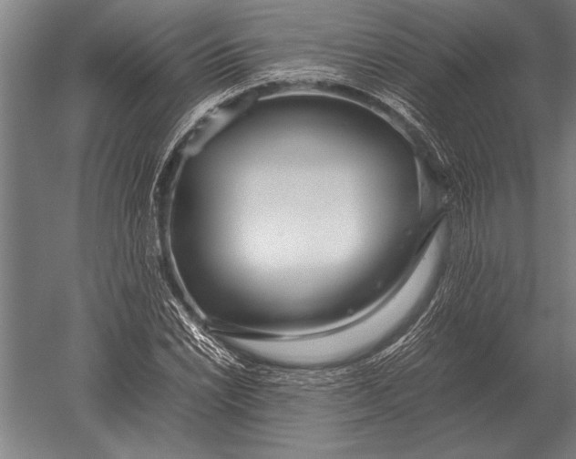 X0000051251022200507082145