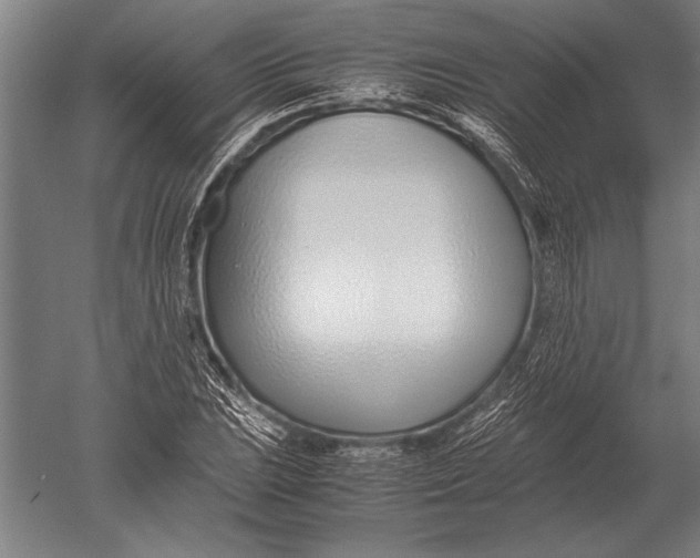 X0000051251023200507082145