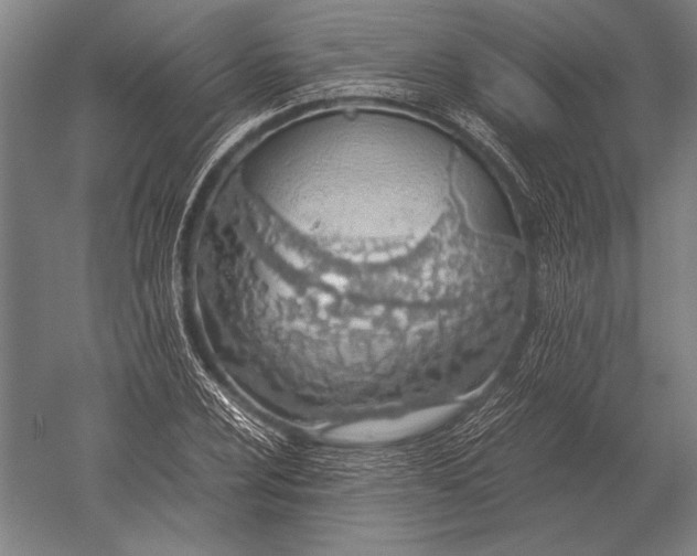 X0000051251024200507082145