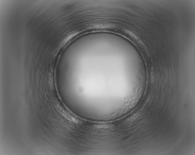 X0000051251025200507082145