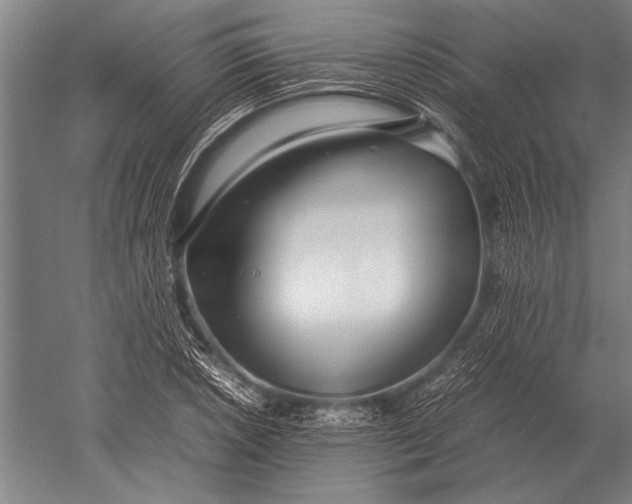 X0000051251026200507082145