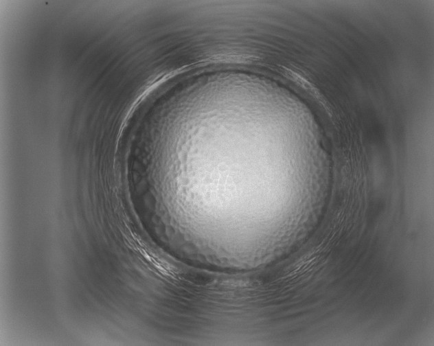 X0000051251027200507082145