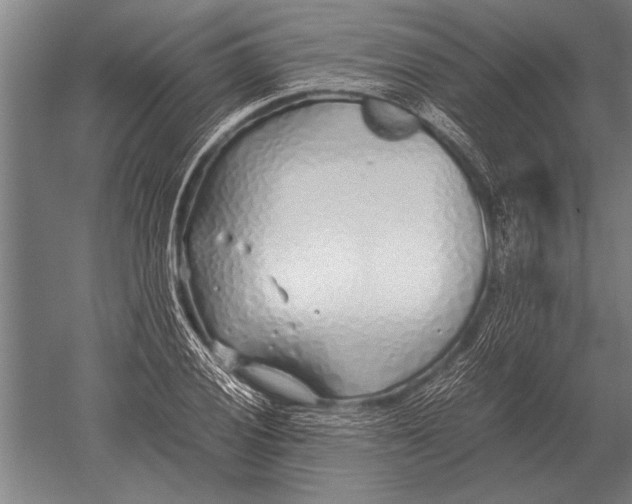 X0000051251028200507082145