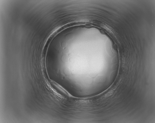 X0000051251029200507082145