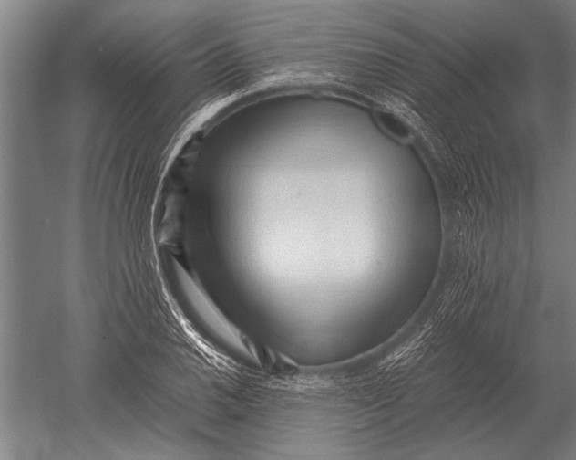 X0000051251030200507082145