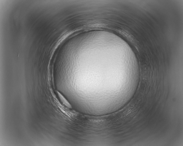 X0000051251031200507082145