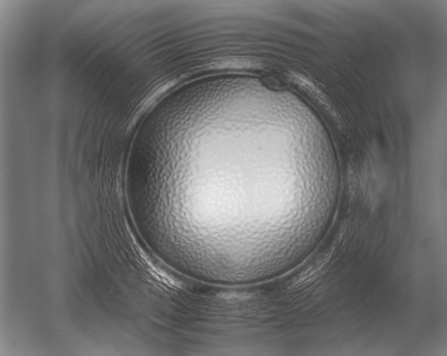 X0000051251033200507082145