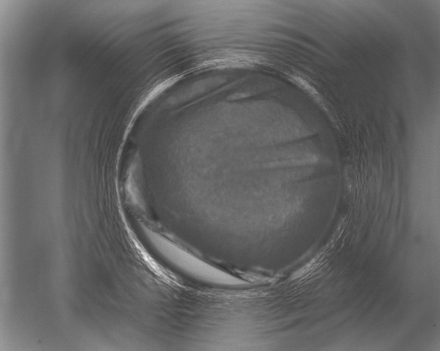 X0000051251034200507082145