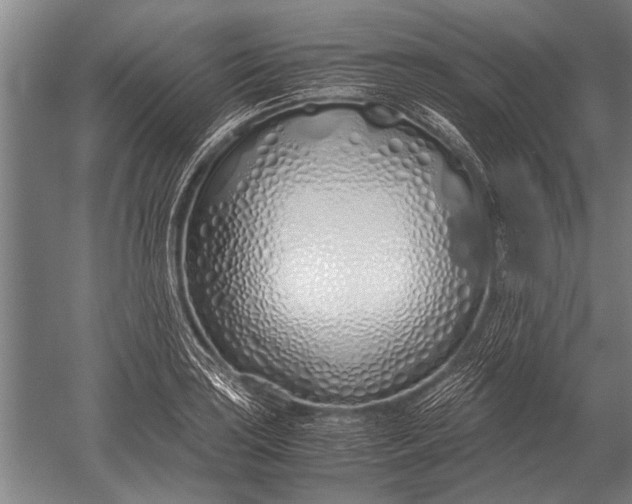 X0000051251035200507082145