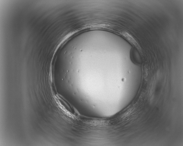 X0000051251036200507082145