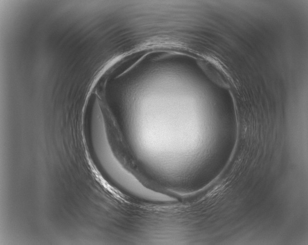 X0000051251038200507082145