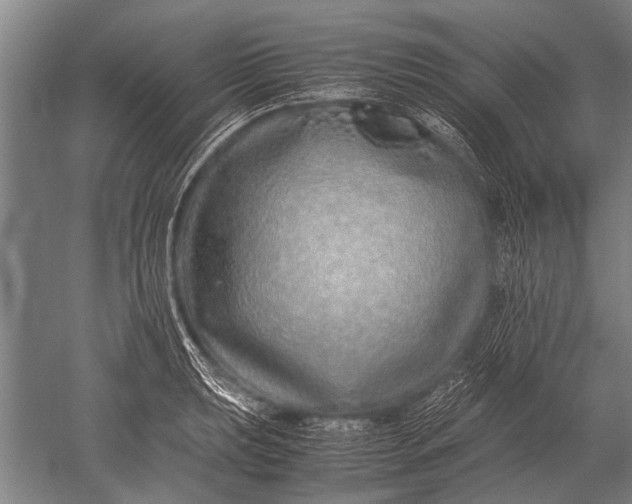 X0000051251039200507082145