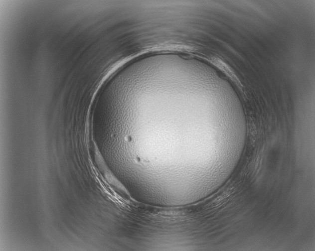 X0000051251044200507082145