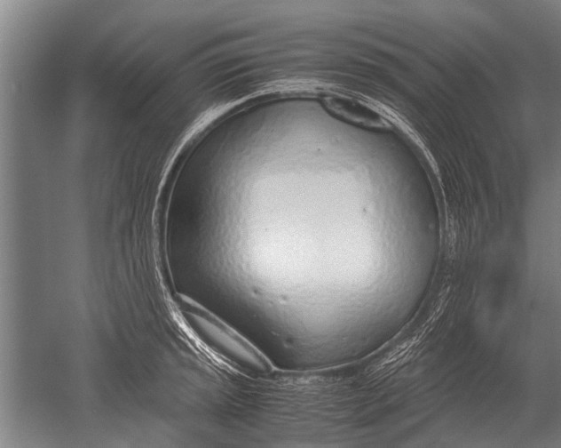 X0000051251045200507082145